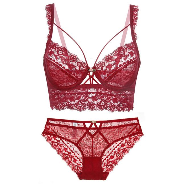 Love of Body - Celestial Transparent Lace Intimates Set - Image 4
